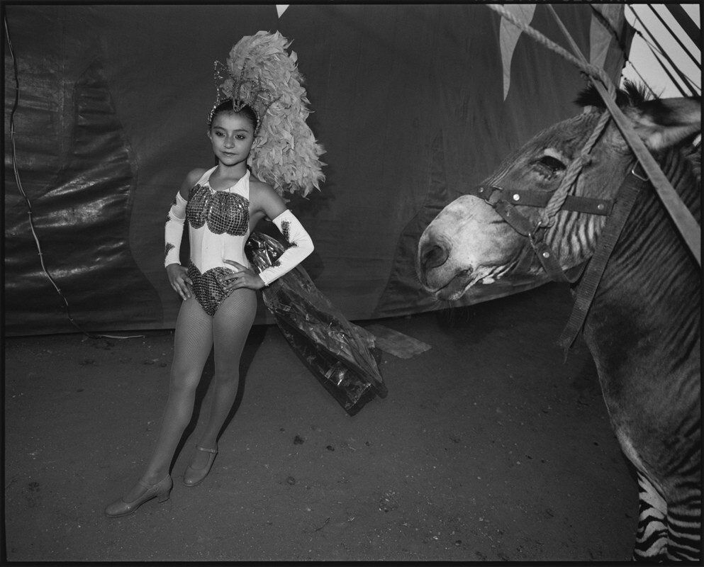 Девочка-акробат с зеброй, Оахака, Мексика, 2008 г. Фотограф Мэри Эллен Марк