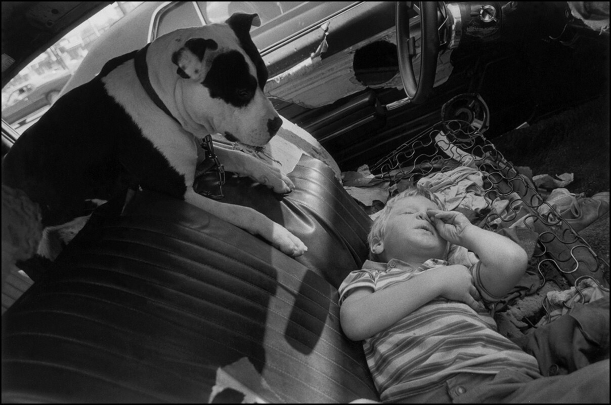 Джесси со своей собакой Рантли, Лос-Анджелес, Калифорния, 1987 год. Фотограф Мэри Эллен Марк
