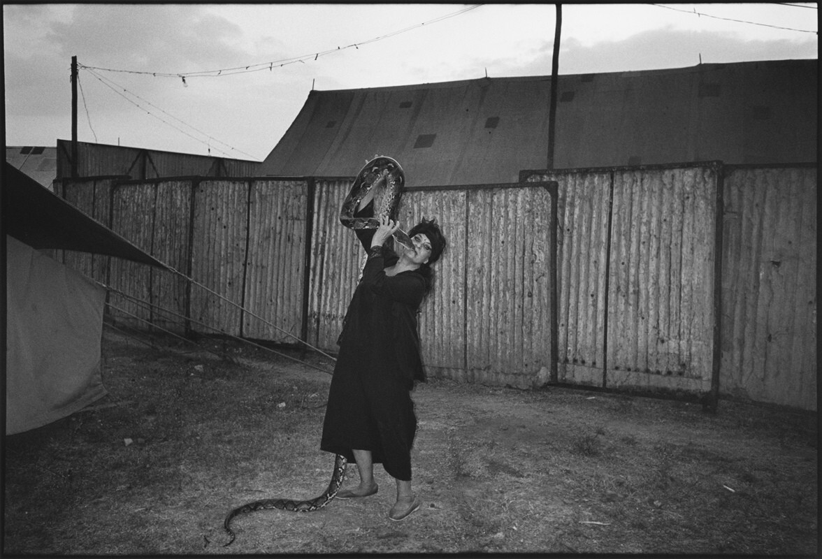 Женщина со змеей, цирк, Пуна, Индия, 1992 год. Фотограф Мэри Эллен Марк