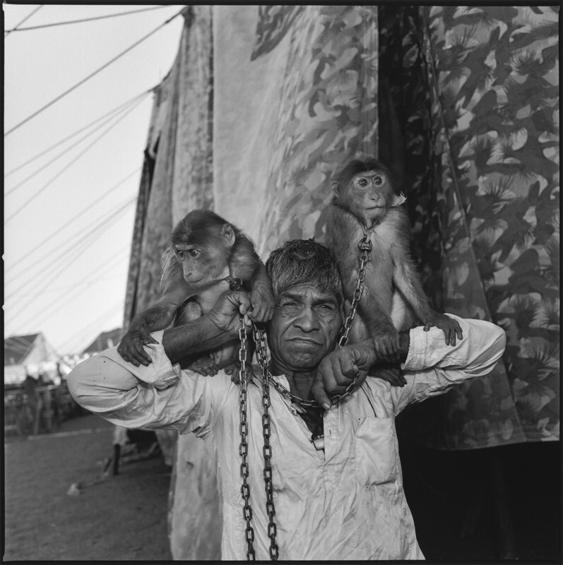 Хранитель обезьян с двумя обезьянами на плечах, цирк Раджа Камала, Аплета, Индия, 1989 г. Фотограф Мэри Эллен Марк