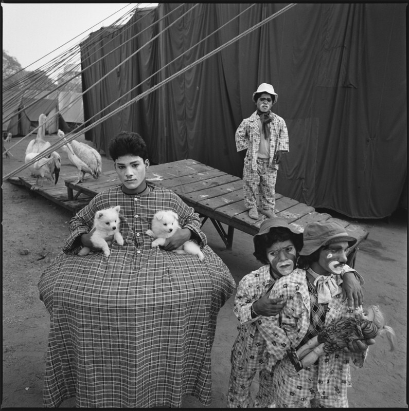 Четыре клоуна, щенки и кукла, Great Rayman Circus, Мадрас, Индия, 1989 год. Фотограф Мэри Эллен Марк