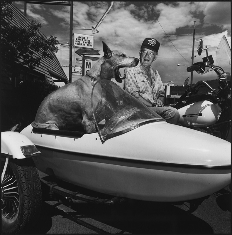 Зевание собаки, Уильямс, Аризона, 1988 год. Американская одиссея. Фотограф Мэри Эллен Марк