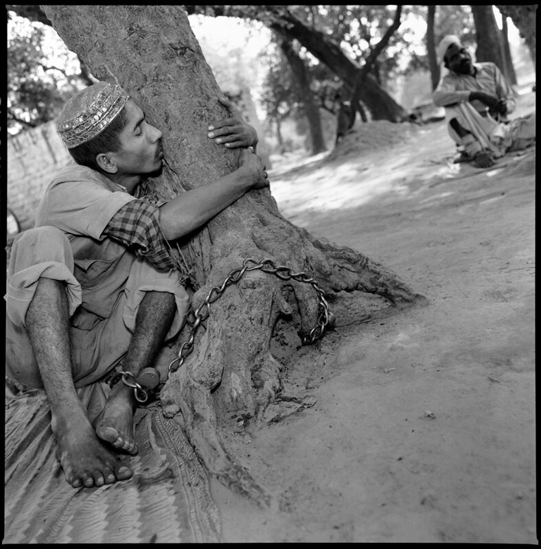 Человек, который любил свое дерево, Уттар-Прадеш, Индия, 1989 год. Фотограф Мэри Эллен Марк