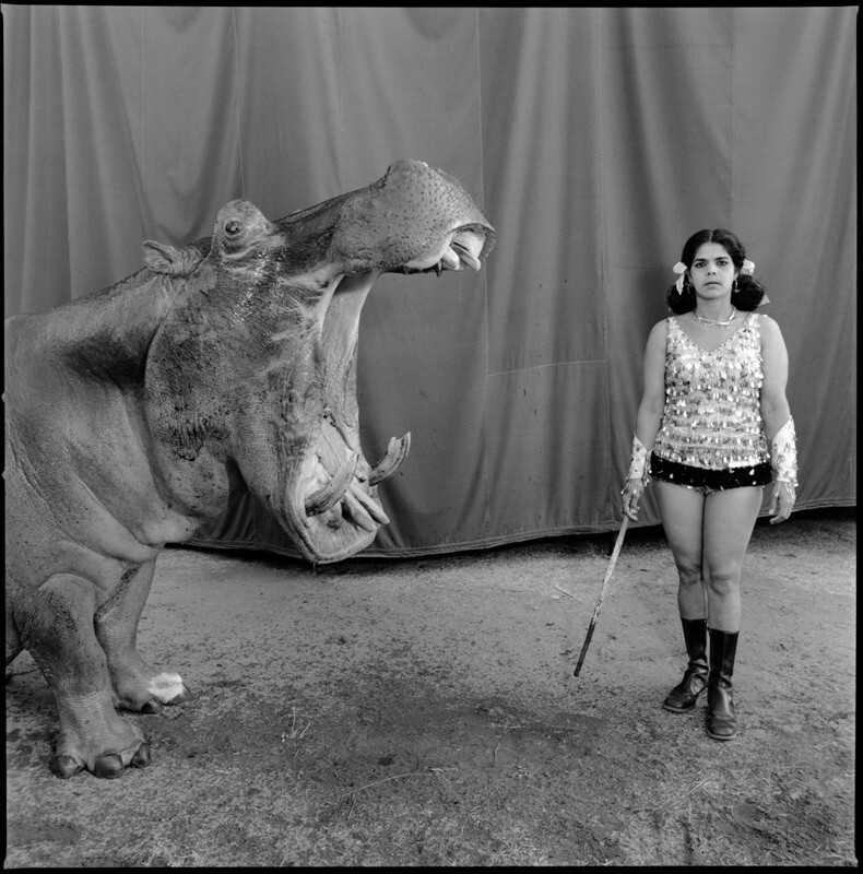 Бегемот и артист, цирк большого Рэймана, Мадрас, 1989 г. Индийский цирк. Фотограф  Мэри Эллен Марк