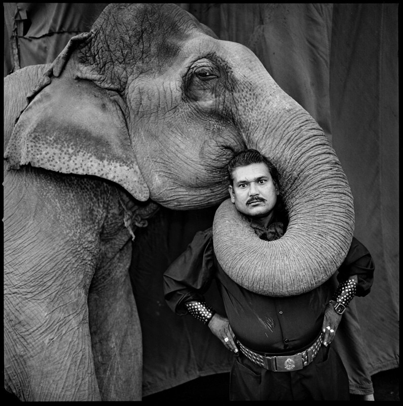 Рам Пракаш Сингх со своим слоном Шьямой, Большой золотой цирк, Ахмадабад, 1990 г. Индийский цирк. Фотограф  Мэри Эллен Марк