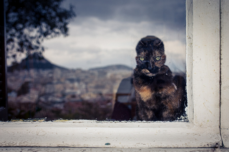 Лучшие фотографии марта