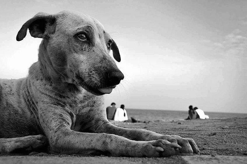 Лучшие фотографии марта