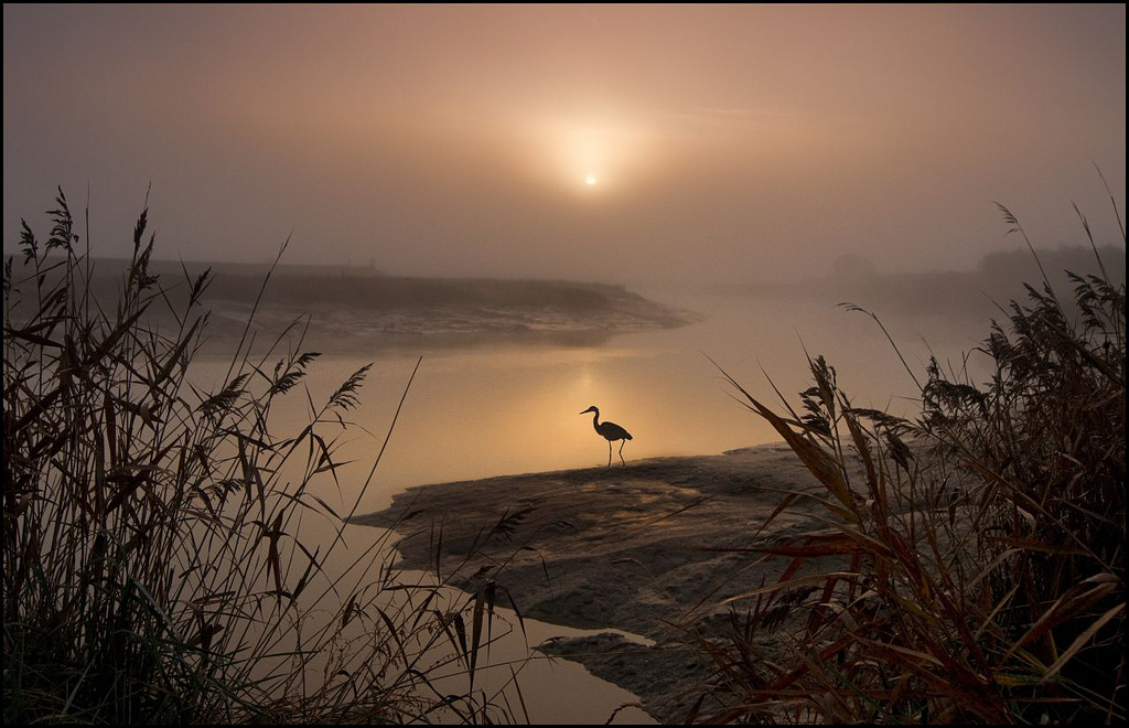 Лучшие фотографии марта