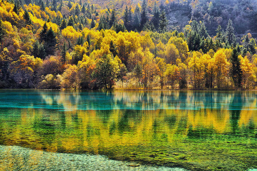 вода озеро осень water the lake autumn без смс