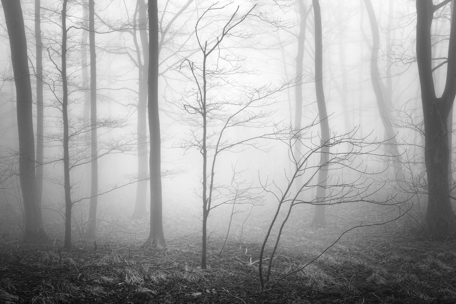 30 черно-белых фотографий тишины