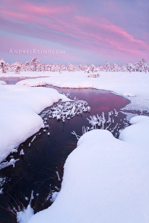 Блестящая атмосфера в пейзажной фотографии Андрея Рейнола