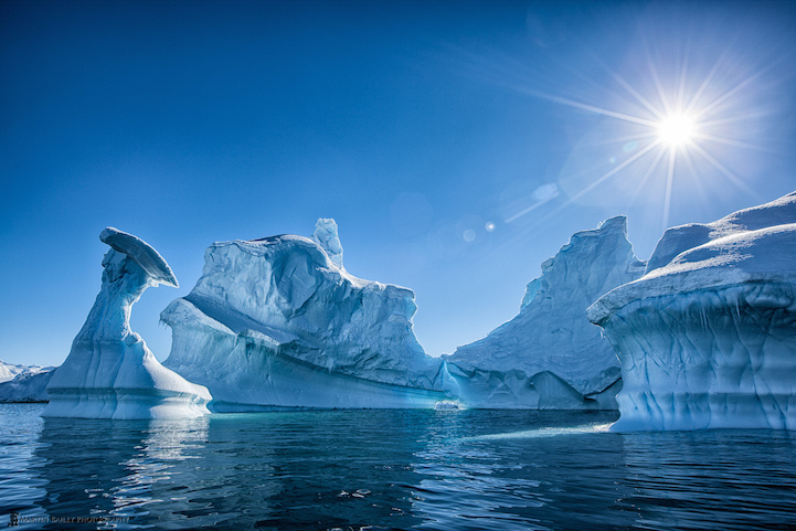 Ледяная экзотика - Антарктида в фотографиях Мартина Бэйли