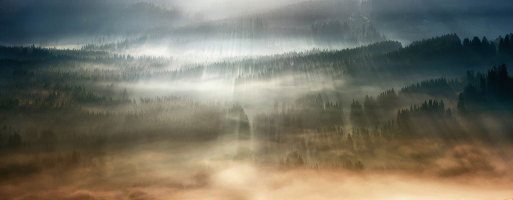 Первые лучи солнца и туманный лес в пейзажах Богуслава Стремпеля