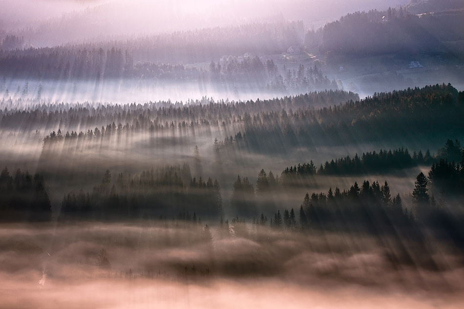 Первые лучи солнца и туманный лес в пейзажах Богуслава Стремпеля