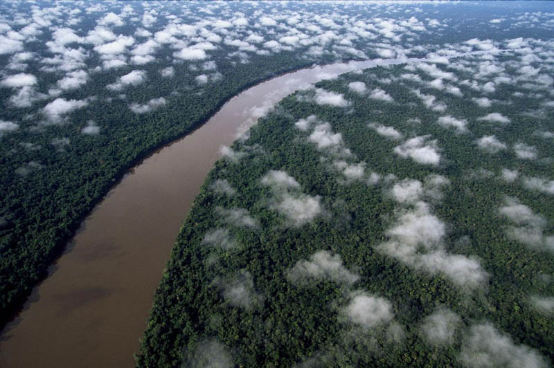 Река Ориноко среди дождевых лесов Амазонии, Венесуэла