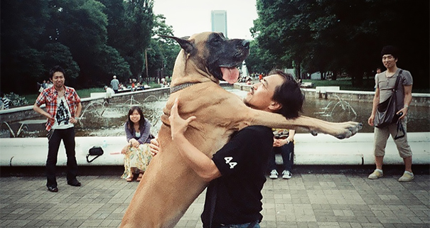Люди и собаки обнимаются - 24 трогательных фото