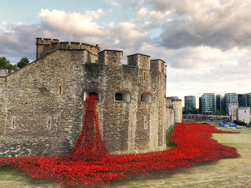888246 маков окружат Лондонский Тауэр в память о погибших солдатах Первой мировой войны-12