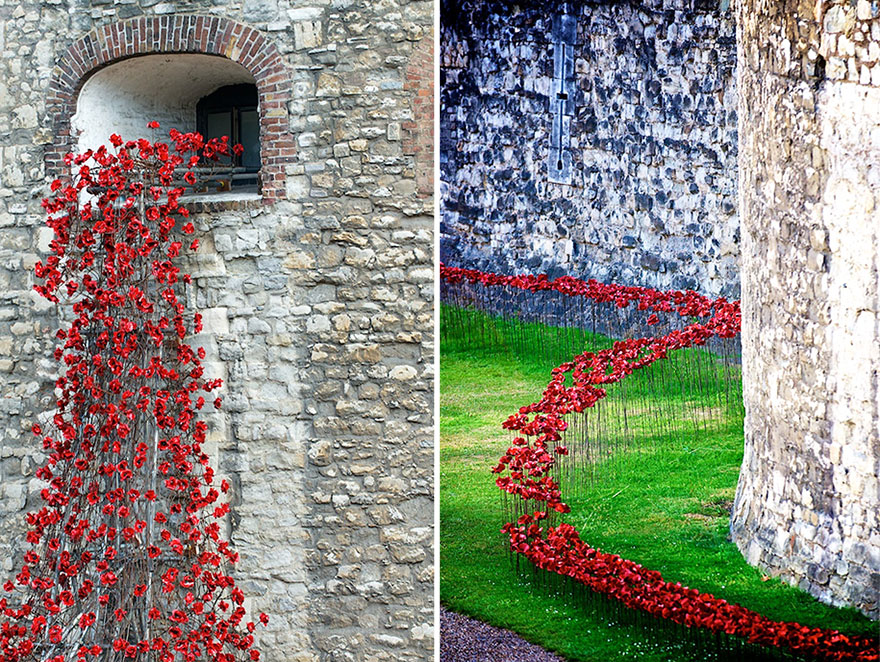 888246 маков окружат Лондонский Тауэр в память о погибших солдатах Первой мировой войны-11