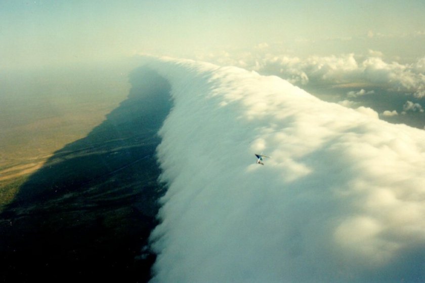 Грозовой воротник (метеорологический термин roll cloud), Квинсленд, Австралия.