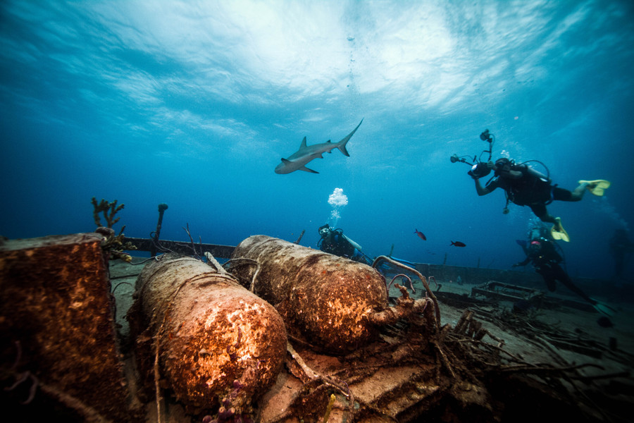 Дайвинг к затонувшим кораблям - 37 невероятных подводных фото