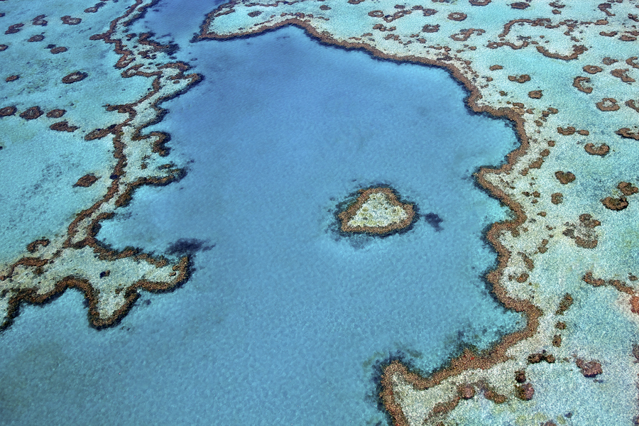 Риф в форме сердца, Большой Барьерный риф, Австралия