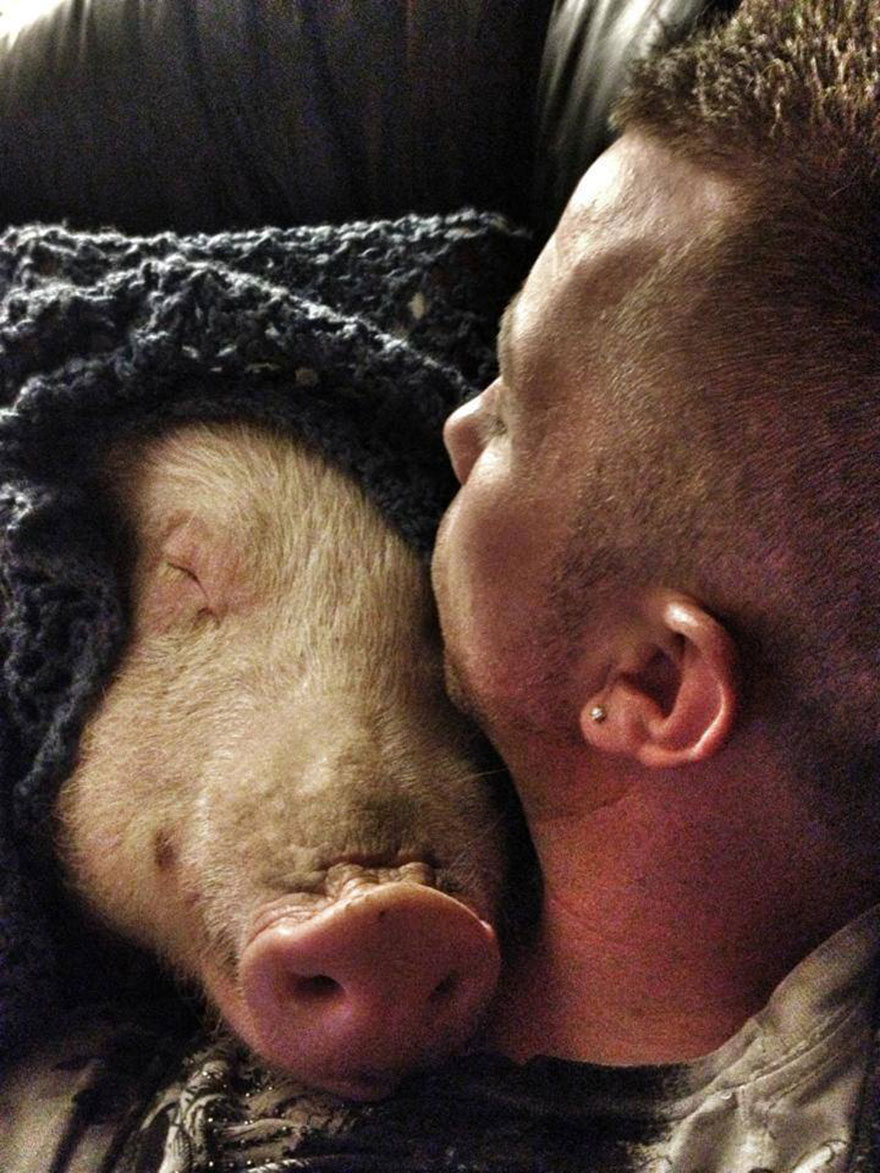 Свинячьи метаморфозы: как свинка Эстер навсегда изменила жизнь людей-45