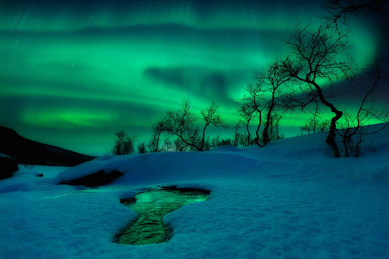 Green Northern Lights cameralabs