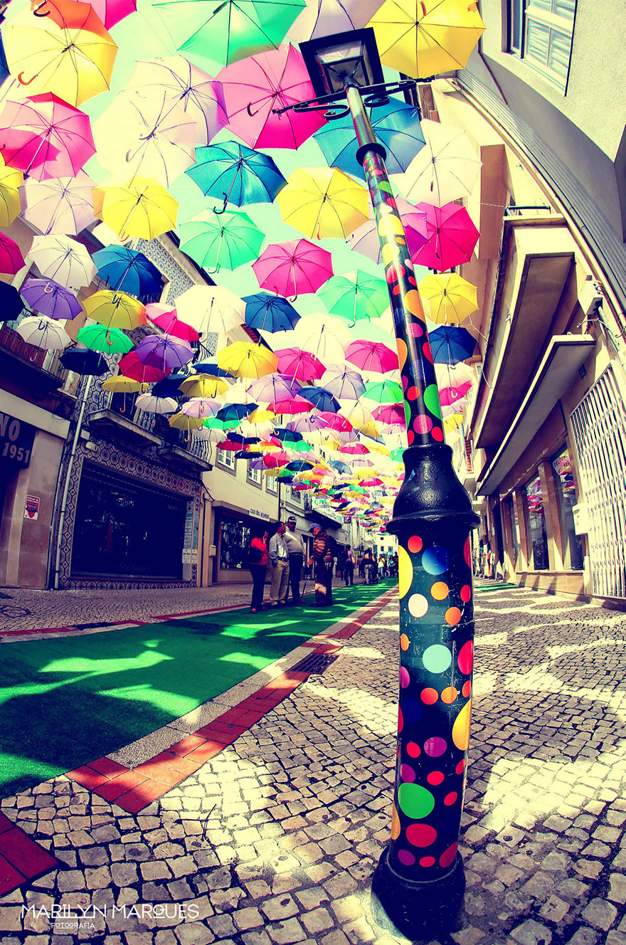 Сотни зонтиков над улицами в Португалии-2014-9