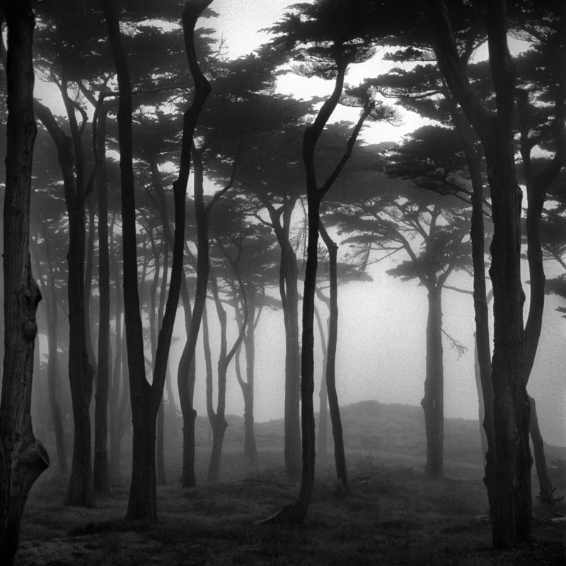 Чёрно-белые пейзажи с длинными выдержками. Фотограф Стив Ландерос