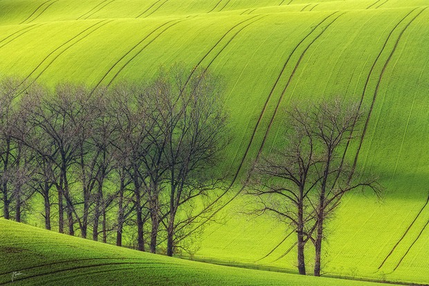 Наедине с природой в пейзажной фотографии Янека Седлара