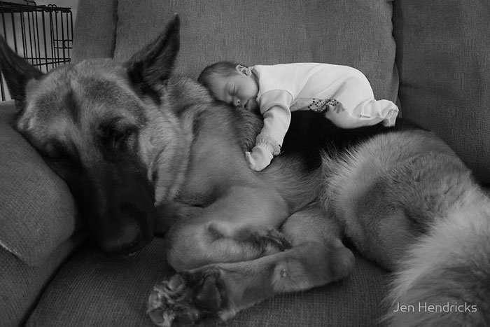 Маленькие дети и их большие собаки - 22 фото-1