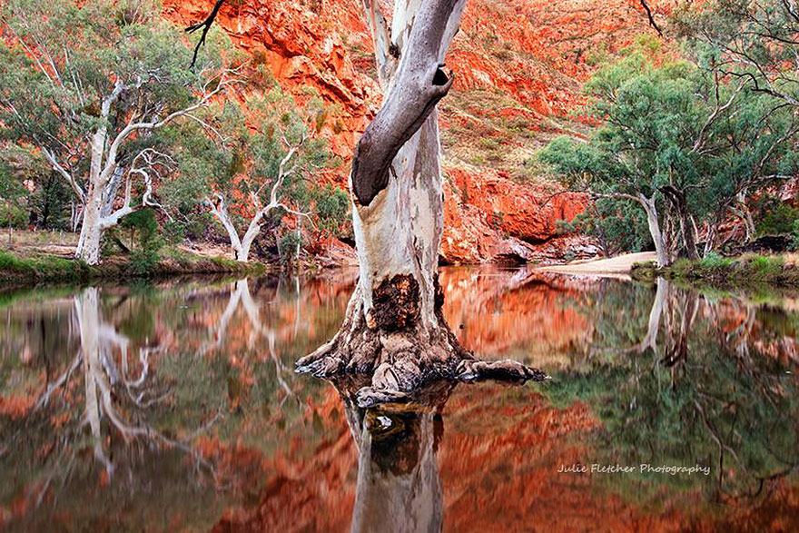 Природа Австралии в пейзажных фотографиях Джули Флетчер-4