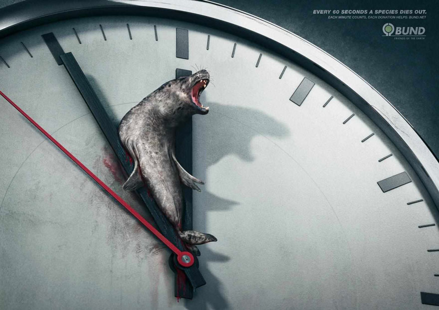 Мощные рекламные кампании о проблемах животных-4