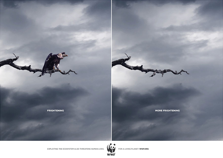 Мощные рекламные кампании о проблемах животных-125
