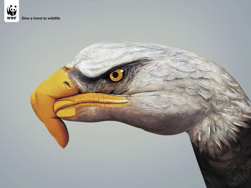 Мощные рекламные кампании о проблемах животных-14
