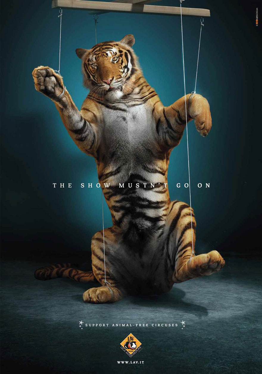 Мощные рекламные кампании о проблемах животных-96