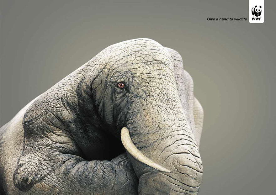 Мощные рекламные кампании о проблемах животных-13