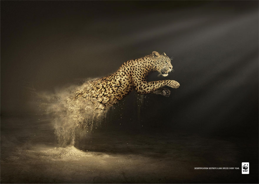 Мощные рекламные кампании о проблемах животных-8