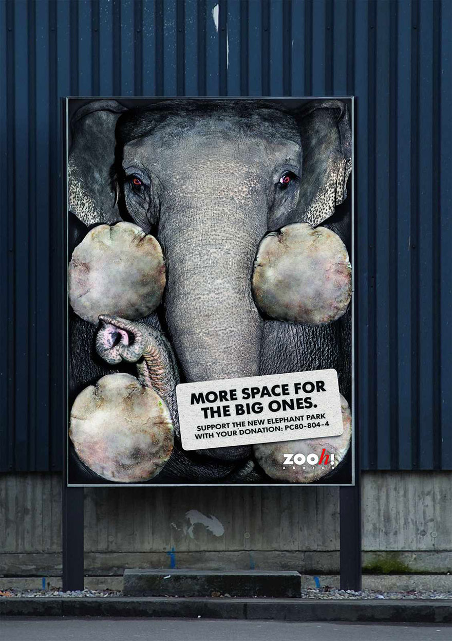 Мощные рекламные кампании о проблемах животных-47