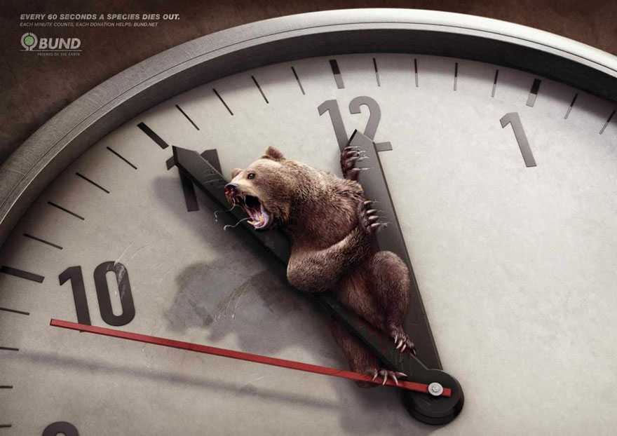 Мощные рекламные кампании о проблемах животных-6