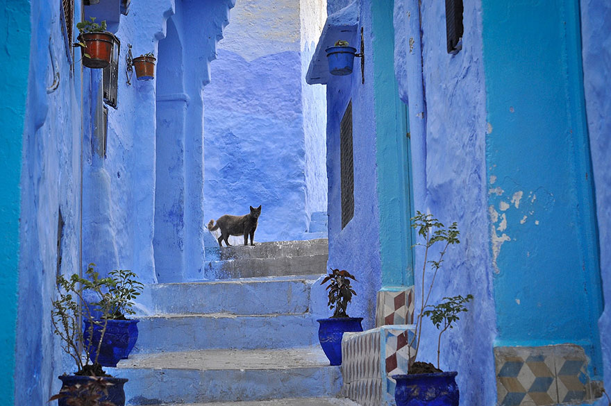 Шефшауэн - старый синий город в Марокко-3