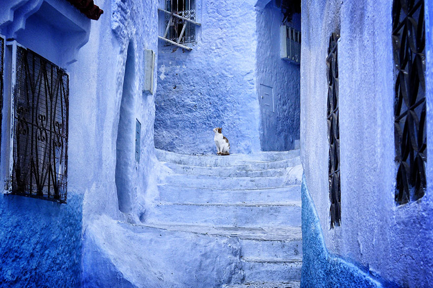 Шефшауэн - старый синий город в Марокко-4
