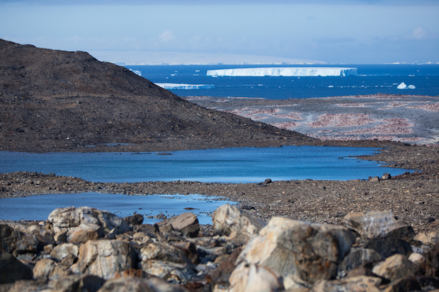Красочные пейзажи Антарктиды от Гастона Лакомба_0002