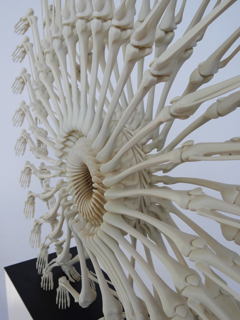 3D скульптуры из человеческих костей от Моники Хорчиковой