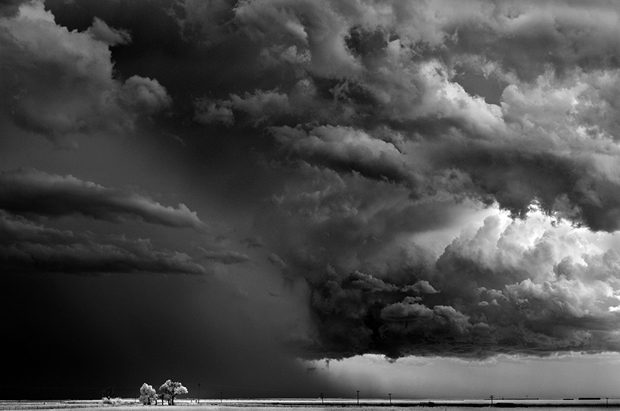 Идеальная буря фотографа Митча Добраунера_Trees-Clouds