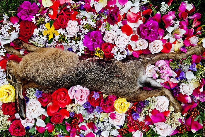 Смерть на цветах в фотографиях Марии Ионовой-Грибиной-5
