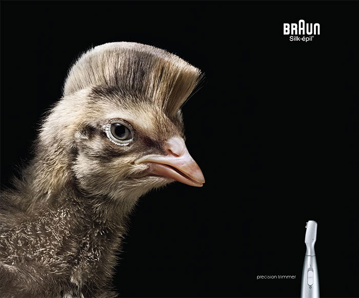 Животные в рекламе - 25 забавных плакатов-73