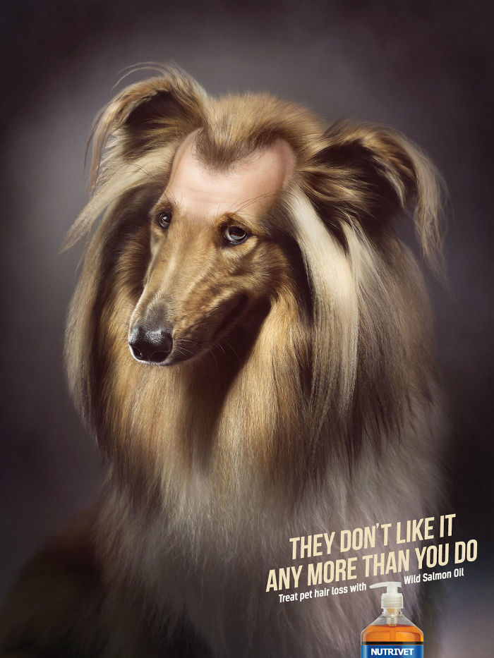 Животные в рекламе - 25 забавных плакатов-37