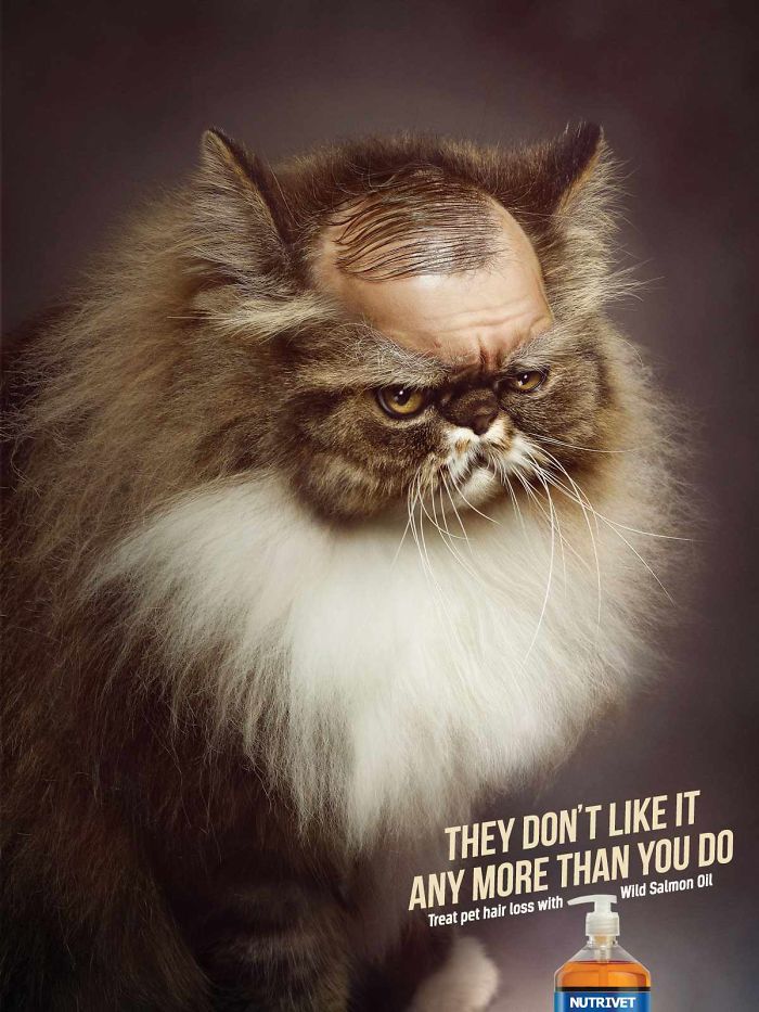 Животные в рекламе - 25 забавных плакатов-36