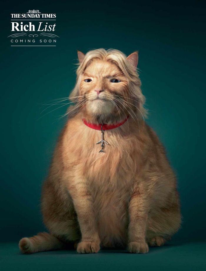 Животные в рекламе - 25 забавных плакатов-17